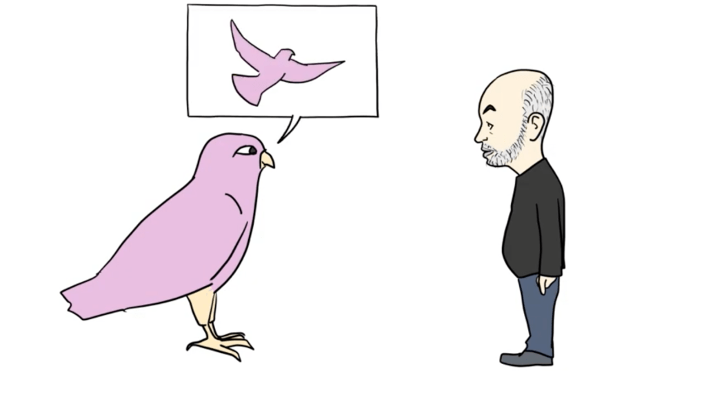 encantador de halcones